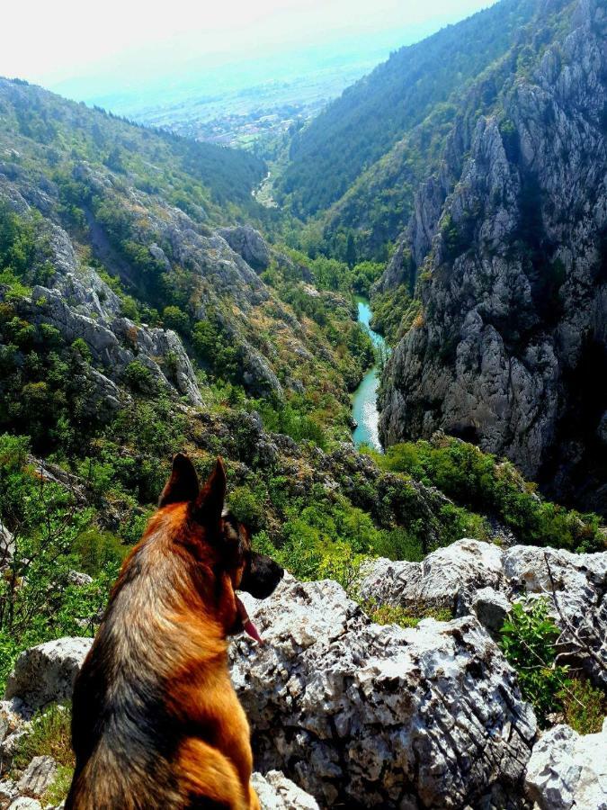 Apartman Studio Zdravko Eco Village Imotski Exteriör bild